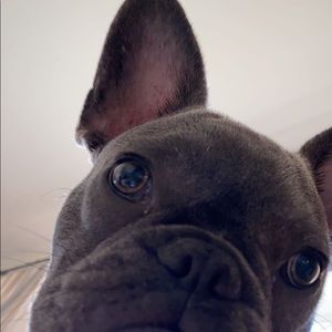 Meet your Posher, Carly